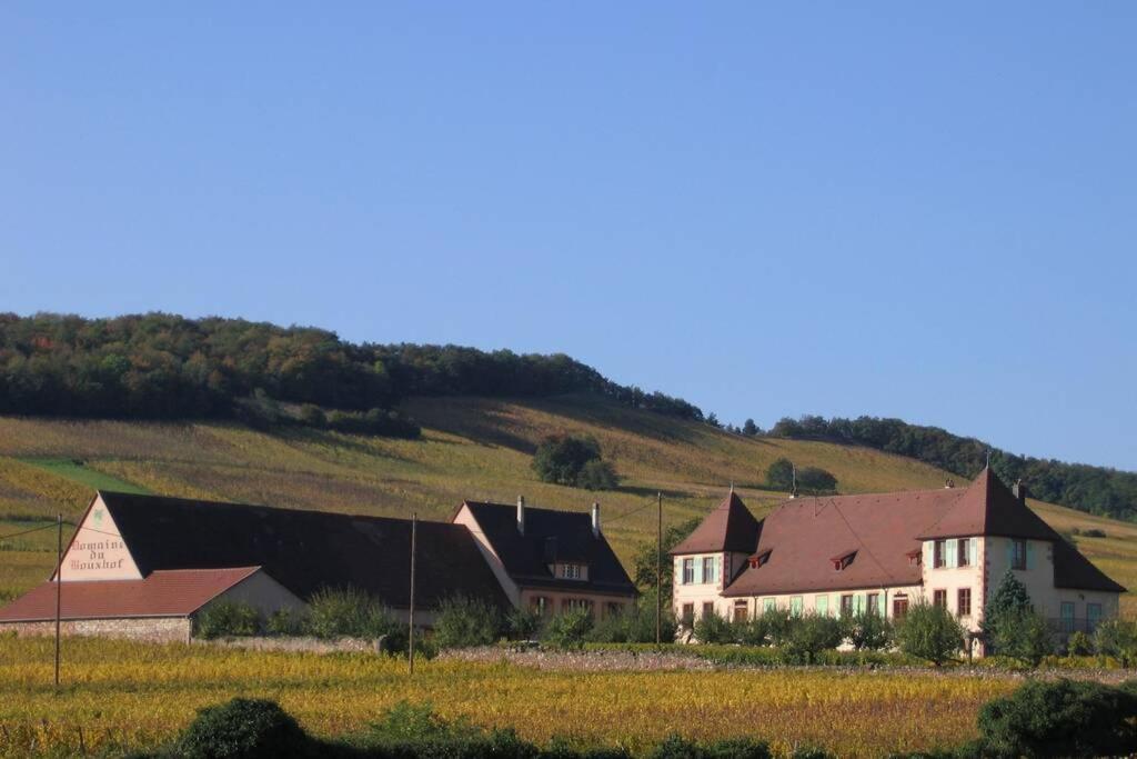 Apartamento Domaine Du Bouxhof Mittelwihr Exterior foto