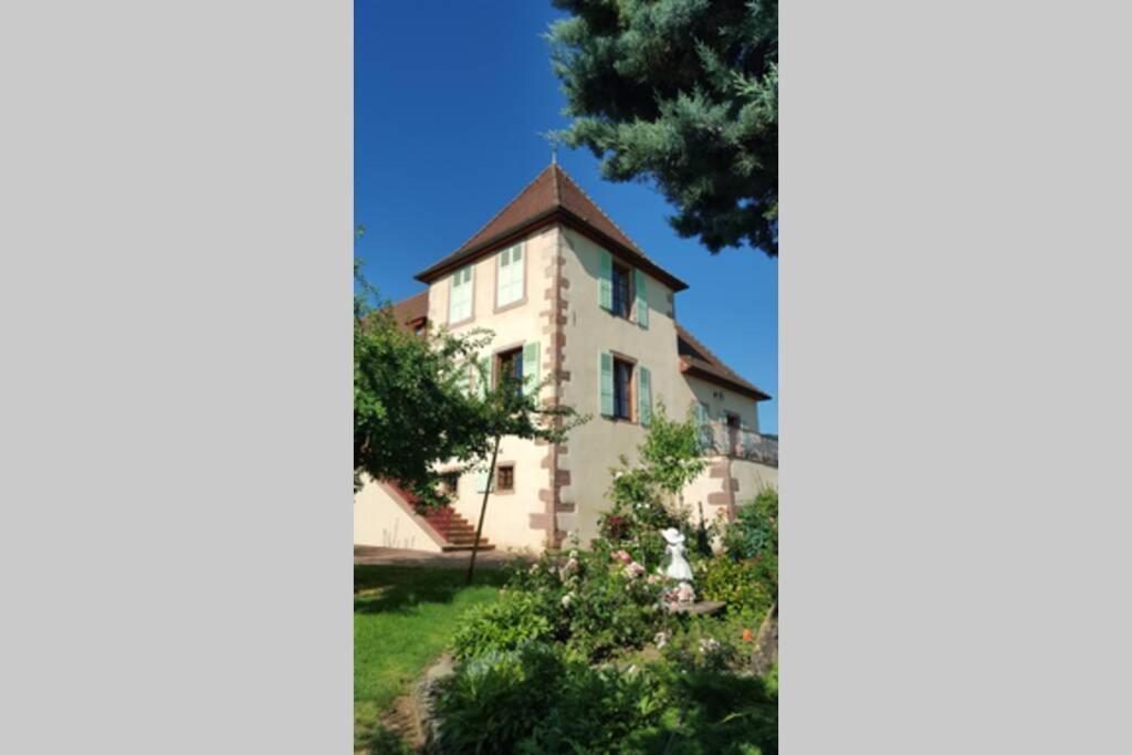 Apartamento Domaine Du Bouxhof Mittelwihr Exterior foto